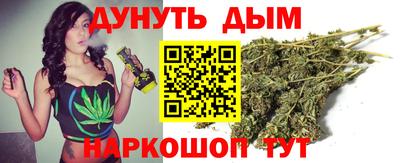 гидра Кингисепп