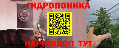 гидра Кингисепп