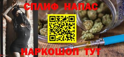 гашик Кинель