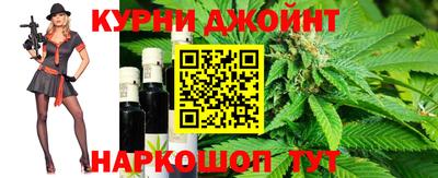 гашик Кинель