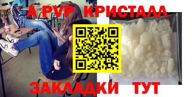 гидра Кингисепп